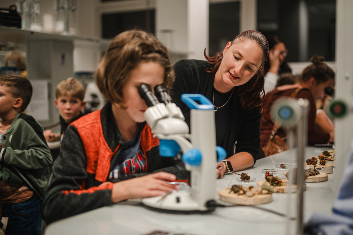 Ve &scaron;kole jako doma